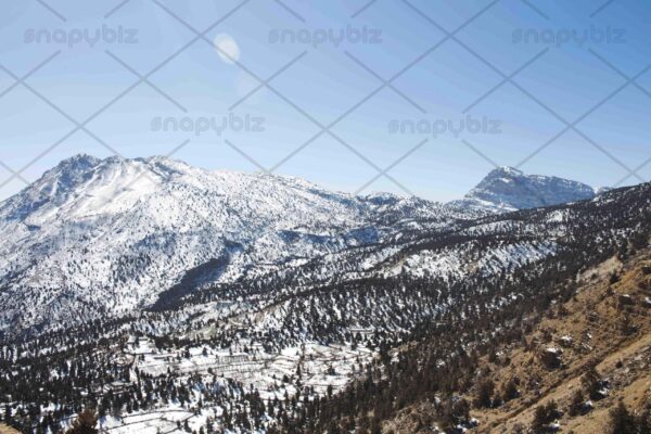 Monthly freebies 2 - image 6