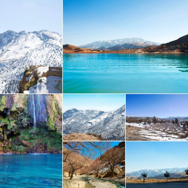 Travelling Buddy Stock Photos Gallery Images 1 Traveling buddy stock photo bundle - image 4