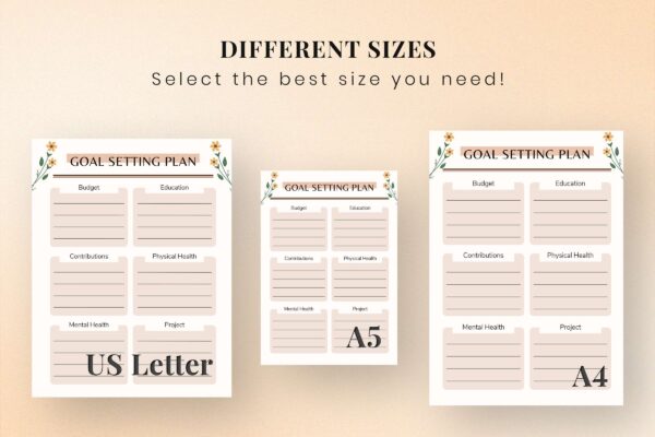 Goal Setting Plan3 Goal setting plan3