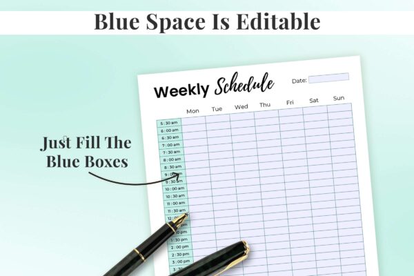Half Hour Weekly Schedule Feature Image 3 Editable half hour weekly schedule