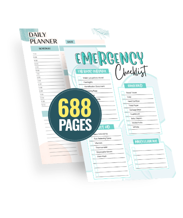 Best Printable Planner Bundle | SnapyBiz