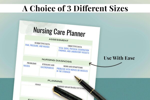 Nursing Care Planner For Editable Printable 6 Nursing care plans printable