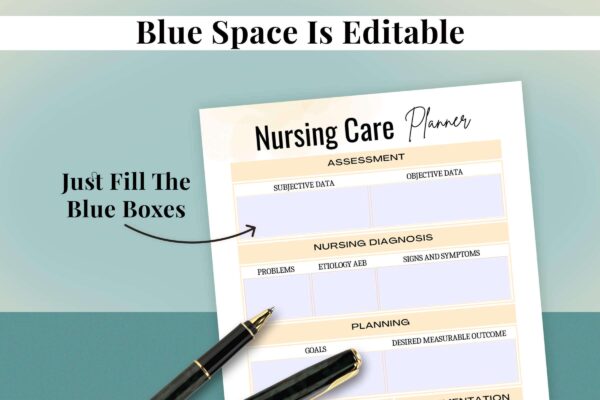 Nursing Care Planner For Editable Printable 7 Nursing care plans printable