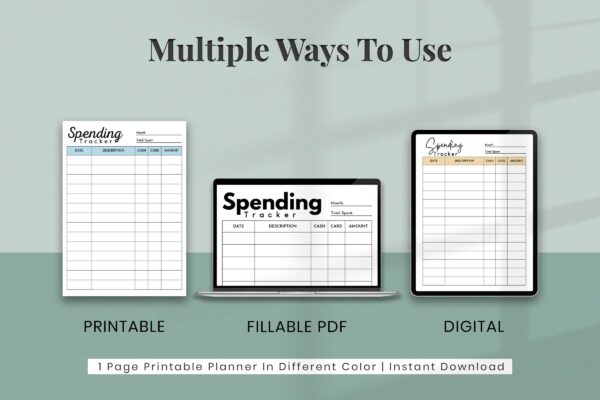 Editable spending tracker