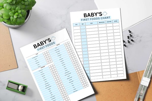 Fillable baby food printable planner (copy)