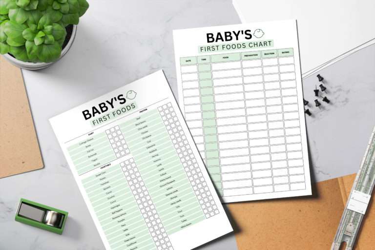 Fillable Baby Food Planner