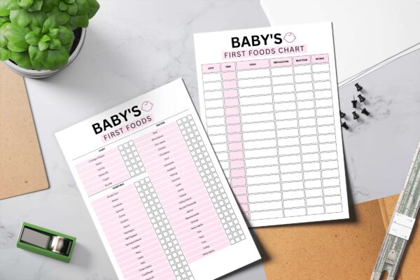 Fillable baby food printable planner