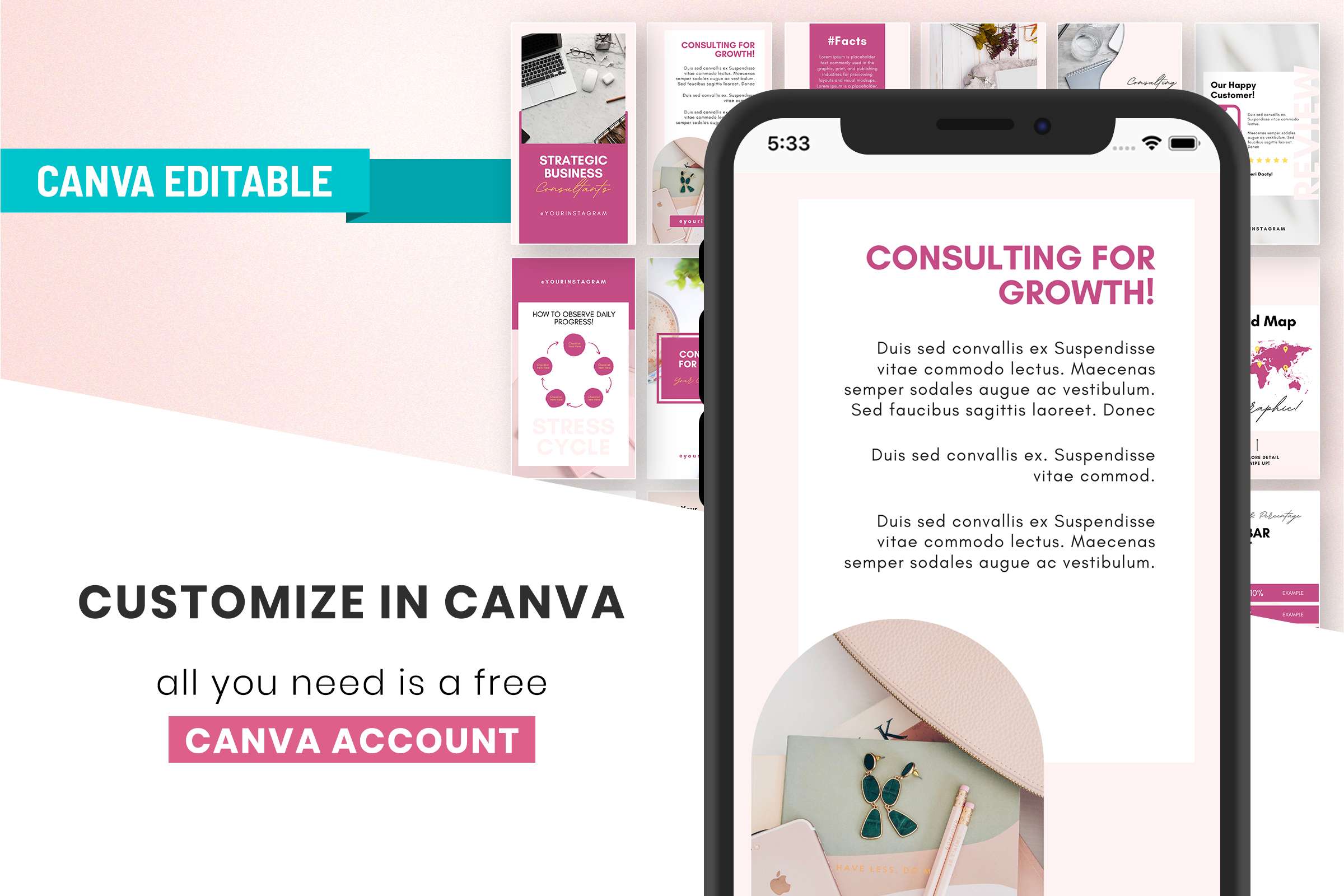 Business Consultant Instagram Canva Story Templates