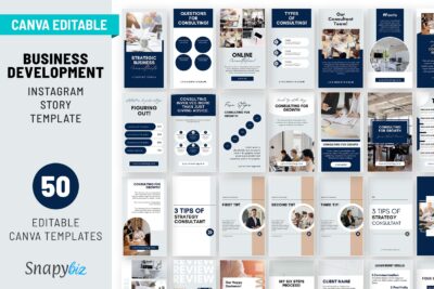business development instagram canva story template