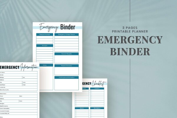 Emergency Binder Free Printables | SnapyBiz