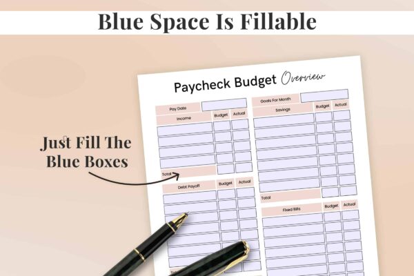 Paycheck Budget Overview Feature Image 2 Paycheck budget overview - image 9