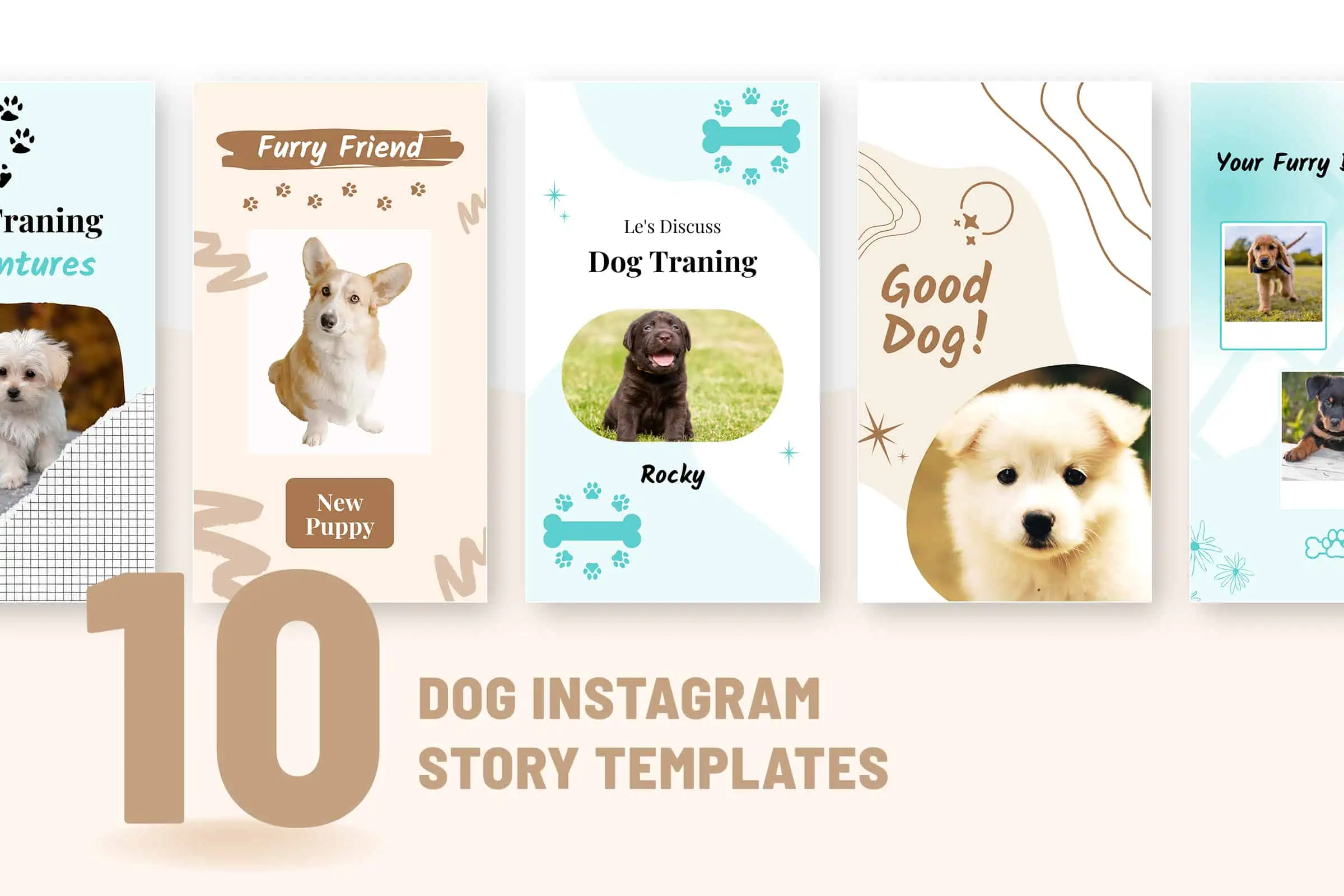 Dog instagram story templates
