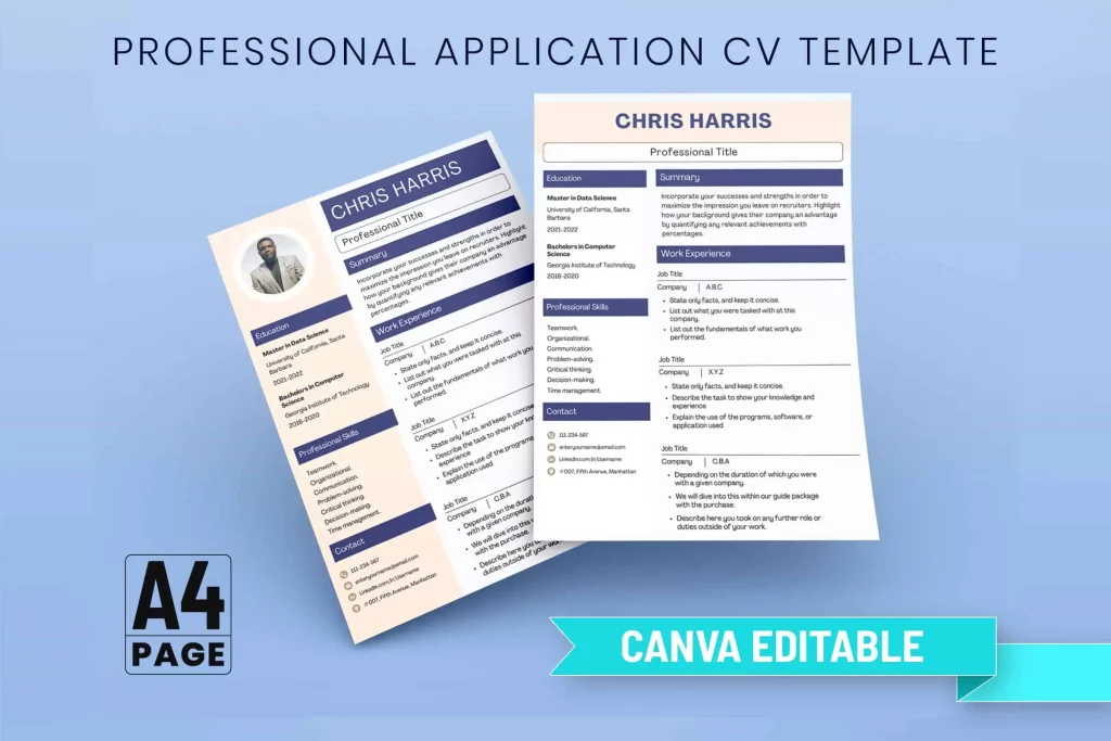 Professional Application CV Template Professional Application CV Template