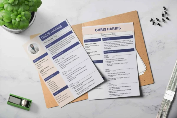 Professional Application Cv Template Feature Images 2 Professional application cv template - image 2