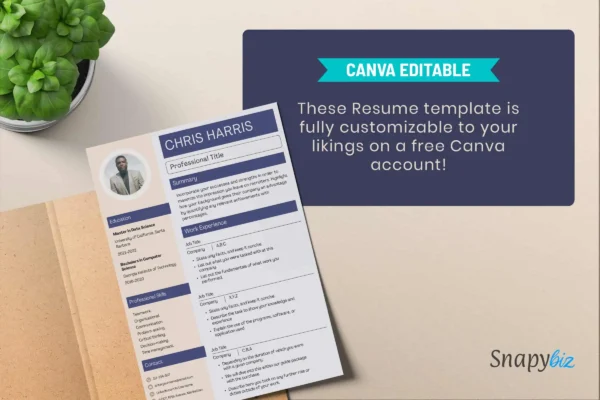 Professional Application Cv Template Feature Images 9 Professional application cv template - image 4
