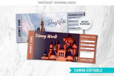 Theme Park Surprise Reveal Ticket