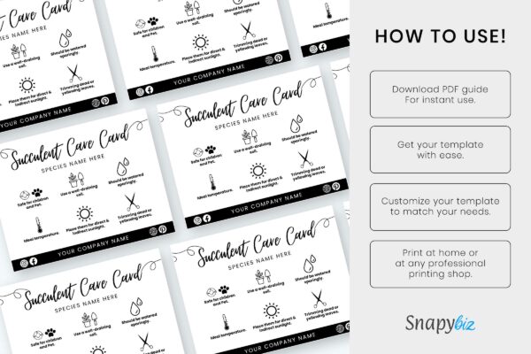 Succulent care guide - image 11