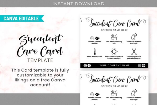 Succulent care guide - image 5