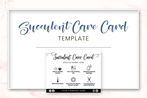 Succulent care guide - image 7
