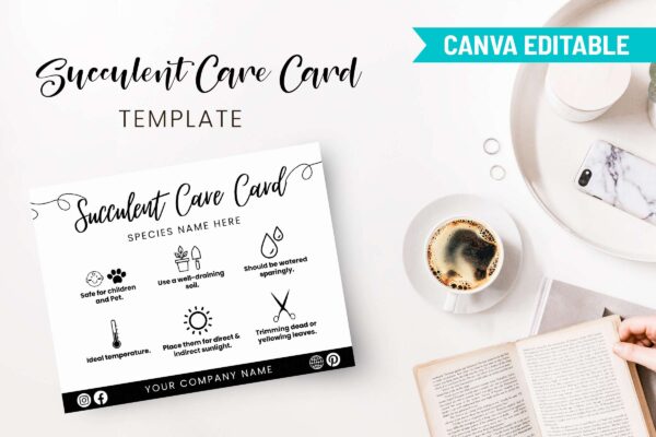 Succulent care guide - image 10
