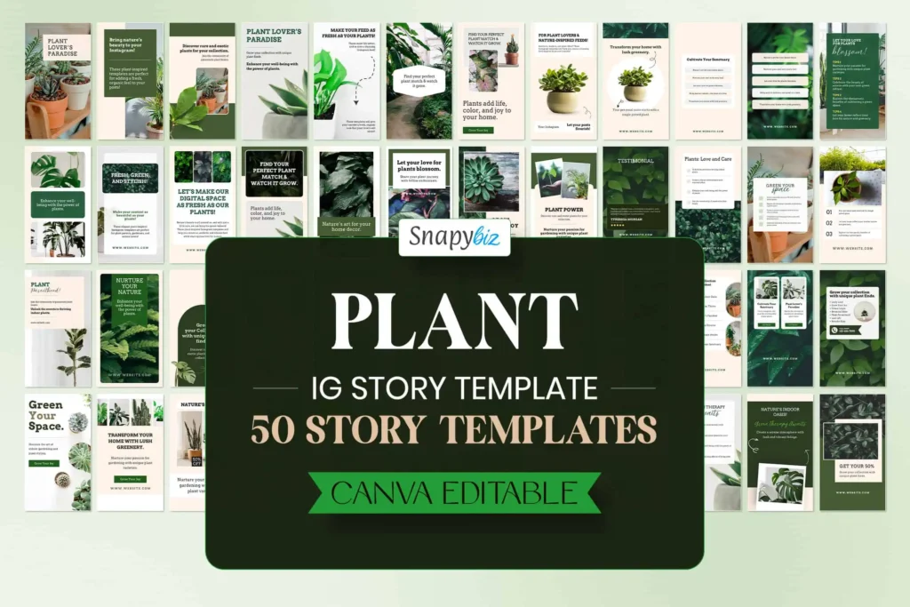 A demonstration of an Instagram story template edited in Canva, displayed on a laptop screen, highlighting the user-friendly editing process with font, color, and image customization options.