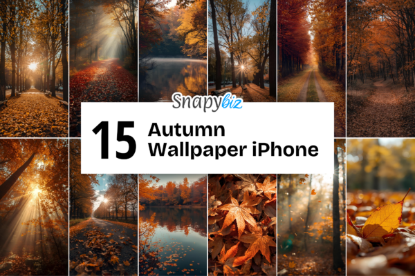 Autumn Wallpaper Iphone Feature Images 1 Collage of autumn forest paths, golden leaves, sun rays, and lakes with warm fall colors aesthetic iphone wallpaper collection