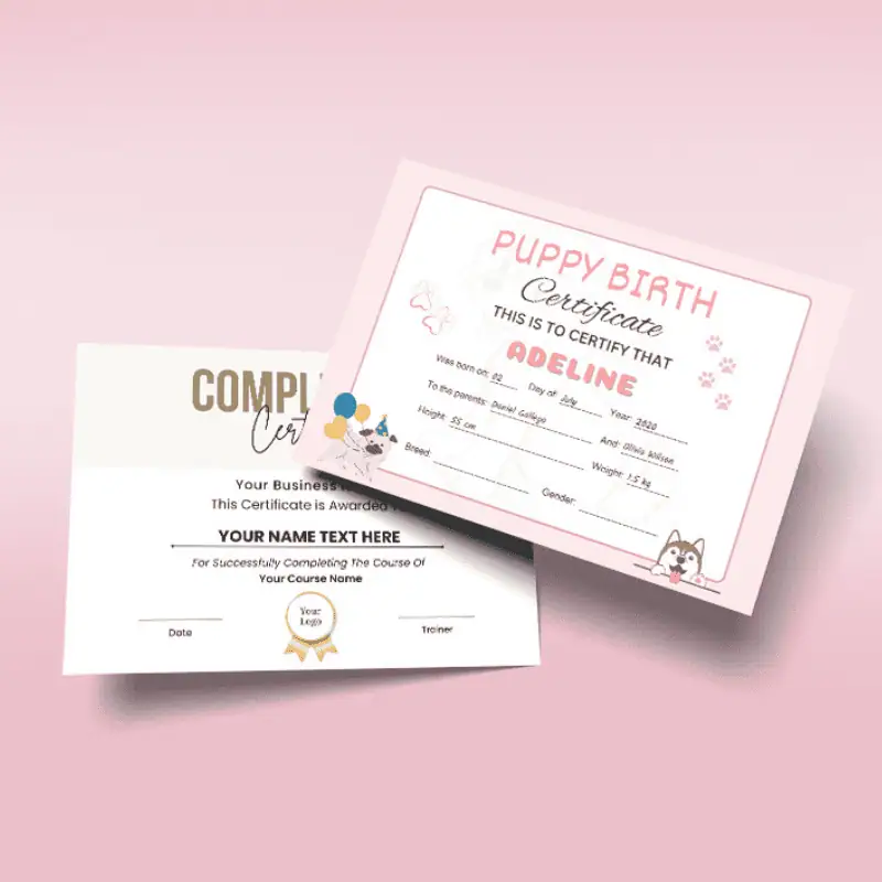 Editable certificate Canva template